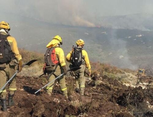 EL PSOE DE SEGOVIA RECLAMA A LA JUNTA “MENOS DISCULPAS Y PARALISIS Y MAS MEDIOS DISPONIBLES” PARA AFRONTAR LA CAMPAÑA DE INCENDIOS FORESTALES