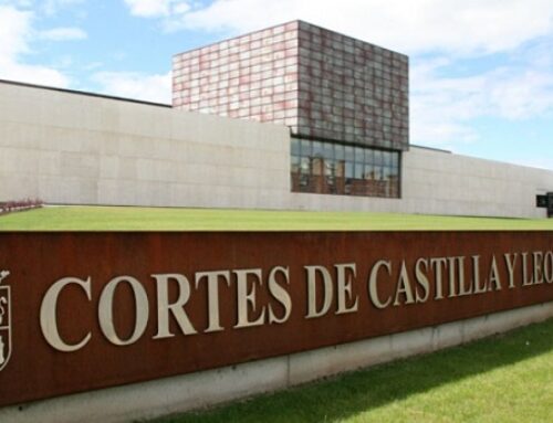 El PSOE de Segovia denuncia la “parálisis absoluta” de Mañueco y anuncia cerca de 20 iniciativas para exigir respuestas sobre sanidad, educación o cultura
