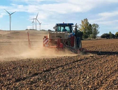 El PSOE de Segovia denuncia las “ayudas insuficientes y tardías” de la Junta al campo frente al impacto de la guerra y exige medidas directas para agricultores y ganaderos