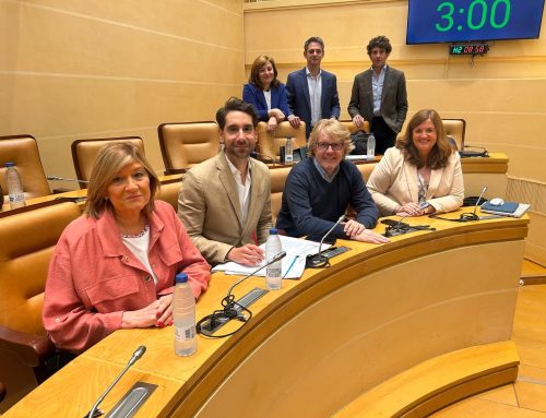 Mazarías da la espalda a los barrios al rechazar la moción socialista para recuperar la participación ciudadana