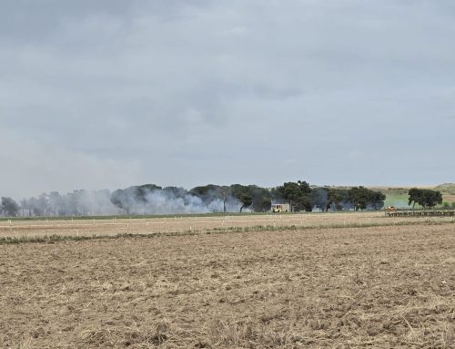 El PSOE denuncia la vulnerabilidad de la provincia tras el incendio de Montuenga: “La Diputación cobra un tasazo por un servicio que no llega a tiempo»
