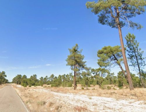 El PSOE denuncia la inacción de la Junta y la Diputación ante el deterioro del camino entre Cantalejo y Lastras tras 2 accidentes graves en menos de 2 meses