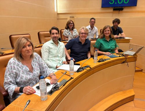 El PP rechaza rebajar un 20% la tasa de basuras y mantiene el mayor incremento fiscal soportado por las familias segovianas