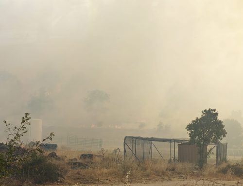 El PSOE de Segovia lleva a las Cortes el incendio de Brieva y exige transparencia, explicaciones y un plan de recuperación tras el mayor incendio de la historia reciente