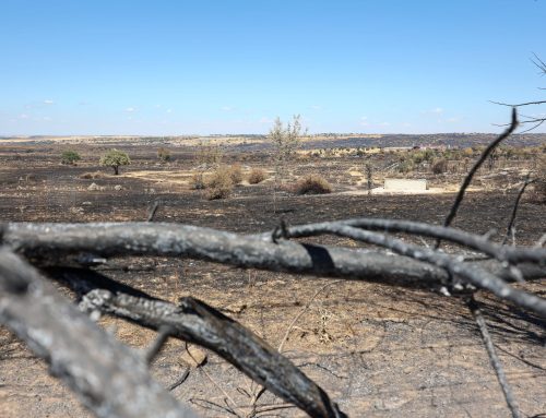 El PSOE de Segovia pide a la Junta un dispositivo específico de asesoramiento para que ningún afectado por el incendio del Valle del Pirón se quede sin acceder a las ayudas