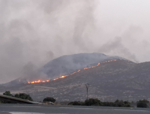 El PSOE lleva a las Cortes los incendios de Navas de San Antonio y Revenga y reclama a la Junta transparencia, ayudas y un plan de recuperación